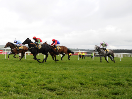https://betting.betfair.com/horse-racing/punchestown%20ryanair%20chase%20god%27s%20own%20640x480.png